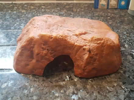 Photo of free Vivarium artificial rock (Bedford MK41) #1