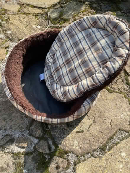 Photo of free Cat bed (Fulwood S10) #3