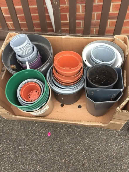 Photo of free plastic plant pots (Denby DE5) #1