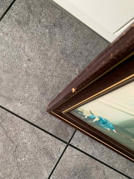 Photo of free Large picture (Lords Wood ME5) #2