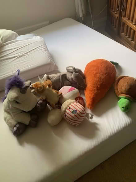 Photo of free Toddler table,chair, toys, stuffies (Chestnut Hill) #1