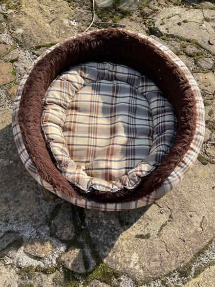 Photo of free Cat bed (Fulwood S10) #2