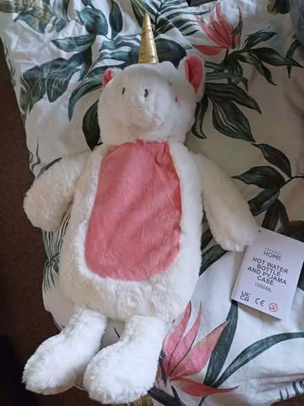 Photo of free Uniform Hot Water Bottle. (Lazonby CA10) #1