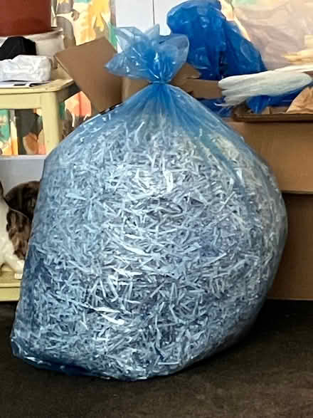 Photo of free Paper shreds (Barnsley S70) #1