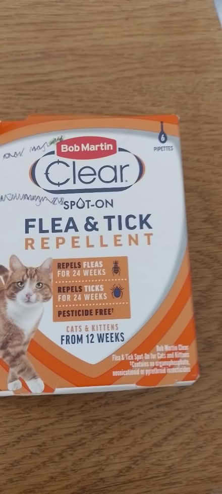 Photo of free Cats Treatment (B92 Solihull) #1