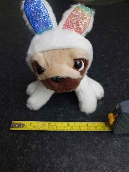 Photo of free Pug toy (Maidstone ME15) #1