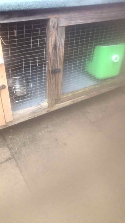 Photo of free Outside small pet cage (Hucclecote) #3