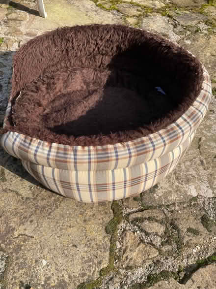 Photo of free Cat bed (Fulwood S10) #1