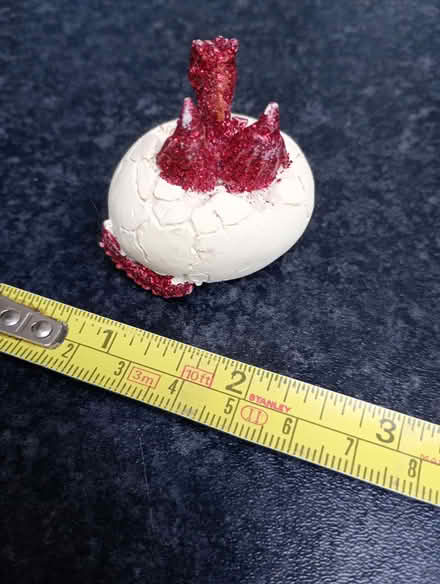 Photo of free Hatching dragon (Maidstone ME15) #2