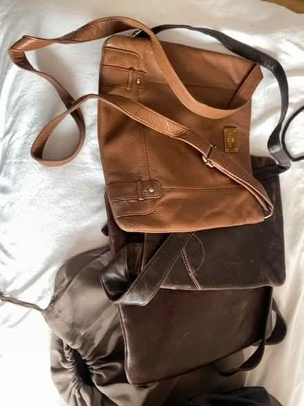 Photo of free Selection of handbags (Arnold NG5) #1