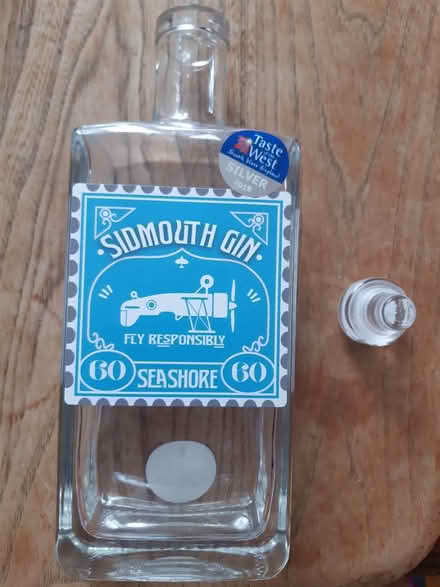 Photo of free Decorative empty gin bottle (CR7 Thornton Heath) #2