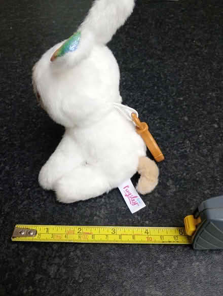 Photo of free Pug toy (Maidstone ME15) #2