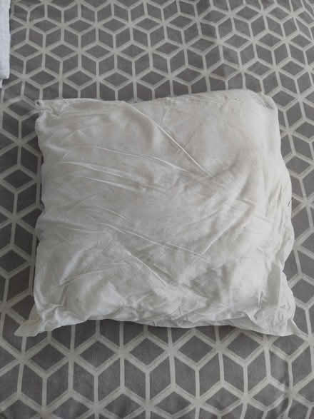 Photo of free Cushion (no cover) (Roundhay LS8) #1