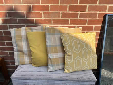 Photo of free 4 yellow cushions (Copley Hill WF17) #1
