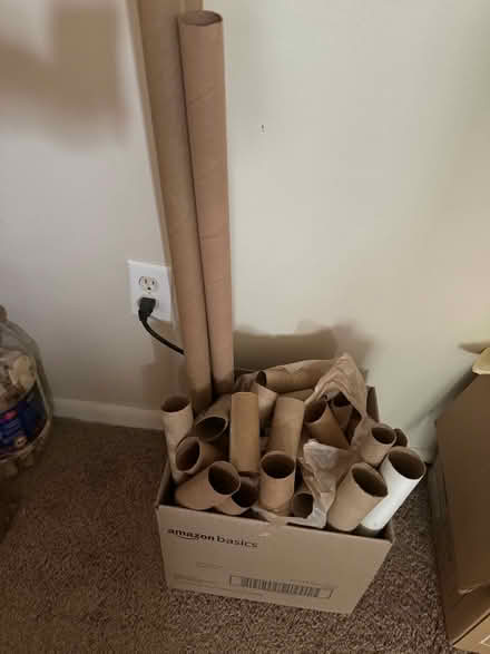 Photo of free TP & other cardboard rolls (crafts) (Harper Woods, MI) #1