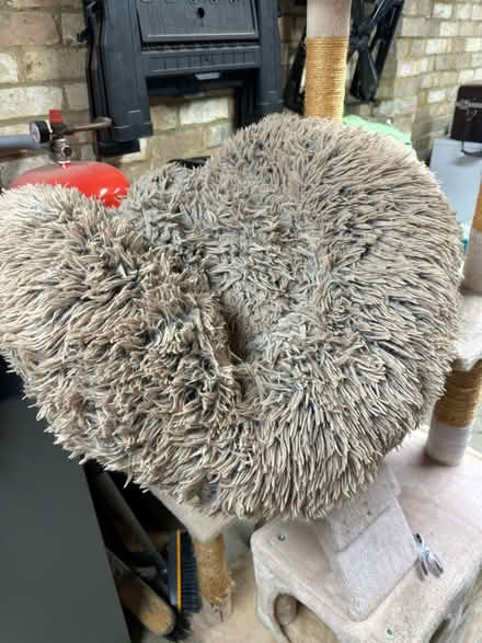 Photo of free Doughnut dog bed (Cambridge/Royston) #2