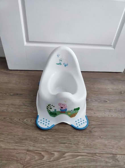 Photo of free Potty (BS34 Charlton Hayes) #1