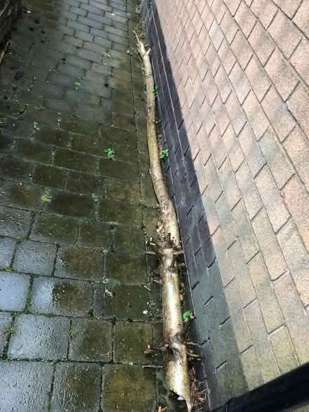 Photo of free Wood for burning (Chadderton OL9) #2