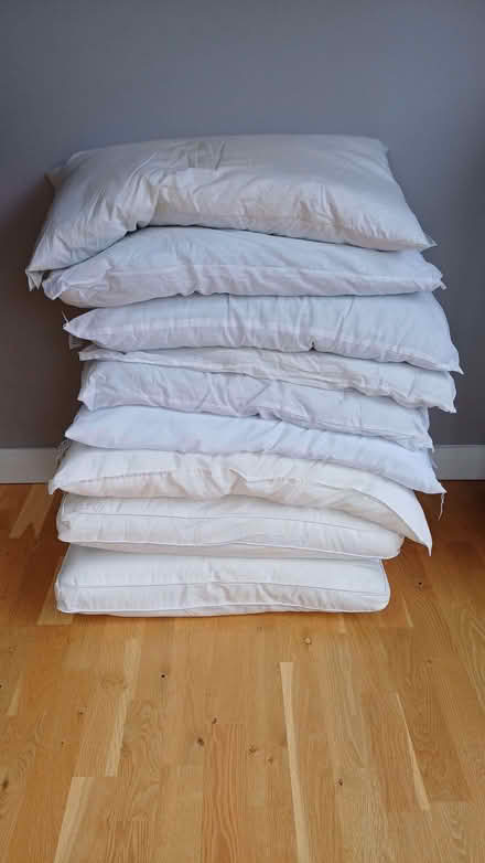 Photo of free Selection of Pillows (Redford EH13) #1