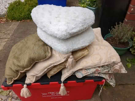 Photo of free Cushions (M19 2PU Burnage/Levenshulme) #1