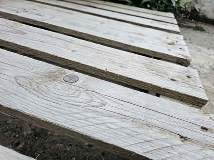 Photo of free Sturdy Pallet (South Woodford E18) #3