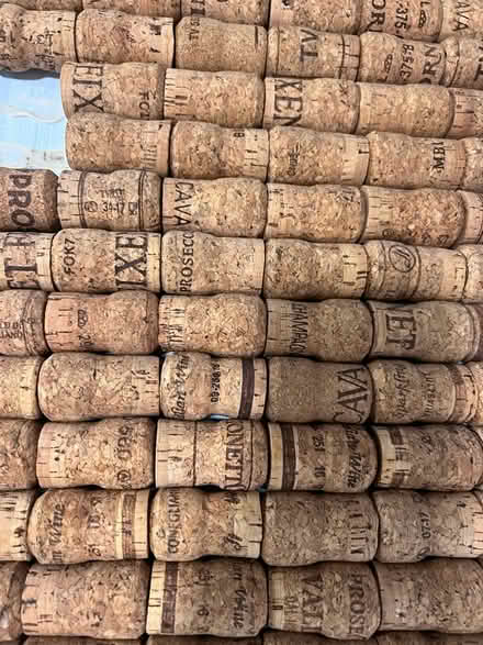Photo of free Cork display (Dronfield S18) #2