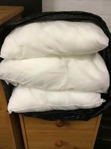 Photo of free Cushion pads (Gleadless Townend S12) #2