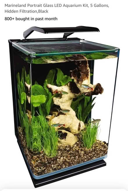 Photo of free Fish tank - aquarium (Forest Hills, Queens) #2
