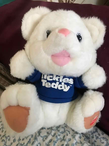 Photo of free Tickles Teddy bear toy (Highways 7 and 48) #1