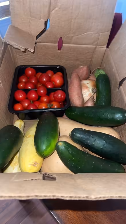 Photo of free box fresh veggies & more (Fairburn,Ga 30213) #2