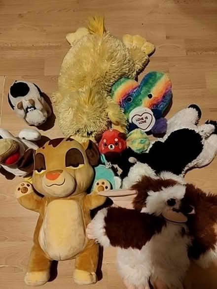 Photo of free Collection of Teddies (High Ercall TF6) #1