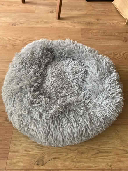 Photo of free Cat bed large new (Worcester park) #2