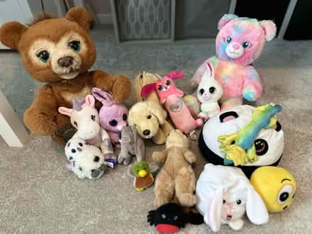 Photo of free Collection of soft toys (Boughton Monchelsea ME17) #1