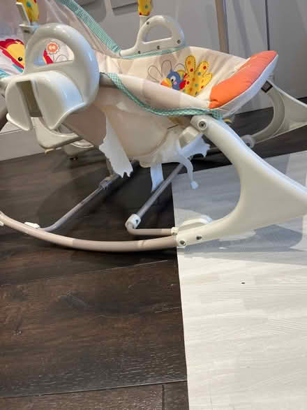 Photo of free Fisher Price swing (N14 7LU) #4