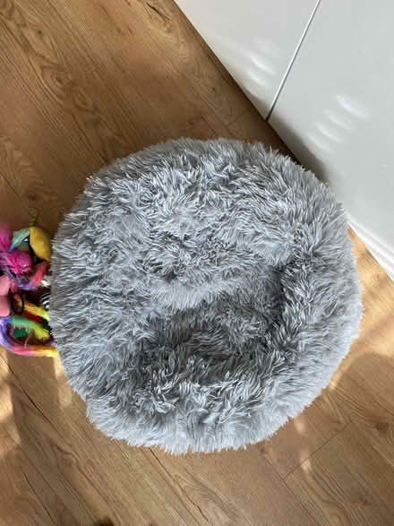 Photo of free Cat bed large new (Worcester park) #1