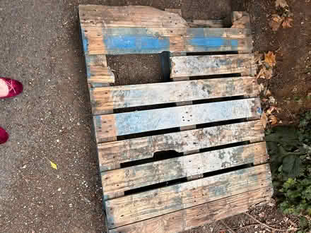 Photo of free Single pallet (Aston SG2) #2