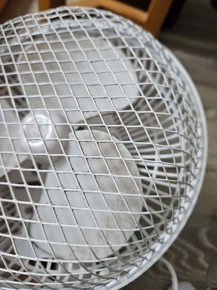 Photo of free Small desk fan (Bearton SG5) #1