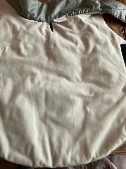 Photo of free Dog coat (RUshden NN10) #2