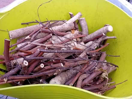 Photo of free Kindling or insect home (Southport PR8) #1