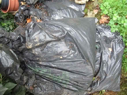 Photo of free Top soil - 7 bags (Ruislip UB10) #1
