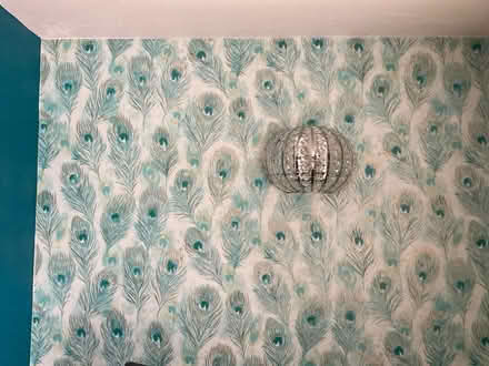 Photo of free Roll and a bit of wallpaper (Near Christchurch BA15) #3
