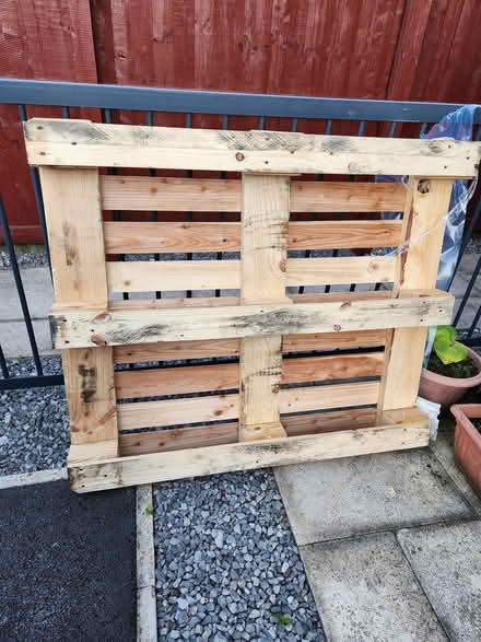 Photo of free Wood pallet (M11) #1