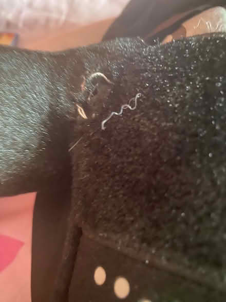 Photo of free Darth vader build a bear (Stenson Fields) #2