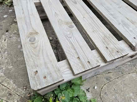 Photo of free Sturdy Pallet (South Woodford E18) #4