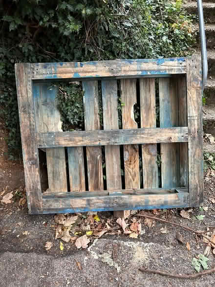 Photo of free Single pallet (Aston SG2) #1