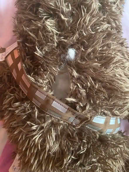 Photo of free Chewbacca build a bear (Stenson Fields) #2