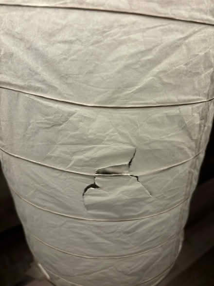 Photo of free Paper floor lamp (Reading RG2) #2