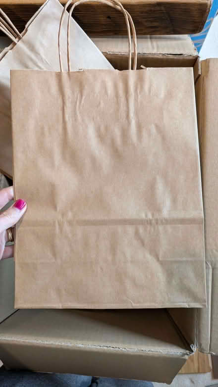 Photo of free Brown paper bags (Old Woking GU22) #2