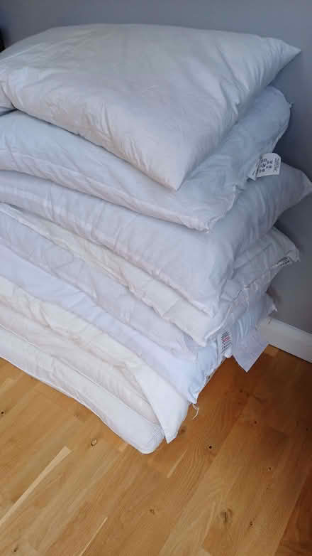 Photo of free Selection of Pillows (Redford EH13) #2