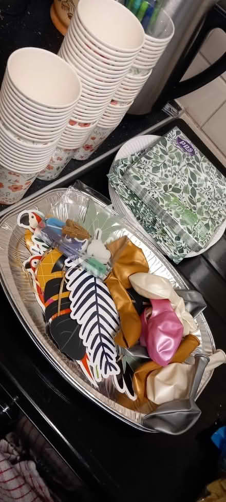 Photo of free Party bits and bobs (TF1) #1
